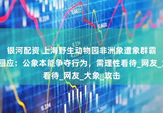 银河配资 上海野生动物园非洲象遭象群霸凌？园区回应：公象本能争夺行为，需理性看待_网友_大象_攻击