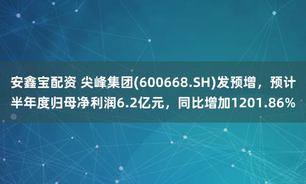 安鑫宝配资 尖峰集团(600668.SH)发预增，预计半年度归母净利润6.2亿元，同比增加1201.86%