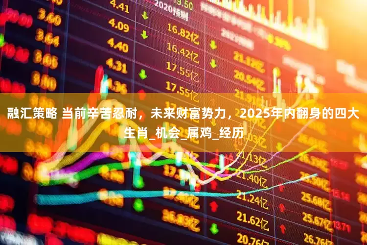 融汇策略 当前辛苦忍耐，未来财富势力，2025年内翻身的四大生肖_机会_属鸡_经历